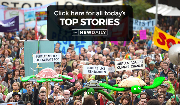 climate-top-stories