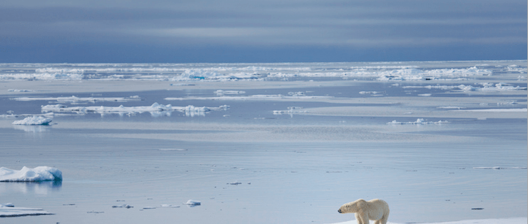 antarctica