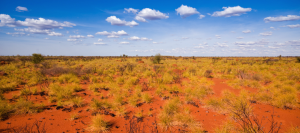 the pilbara