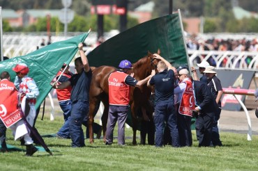 Red Cadeaux