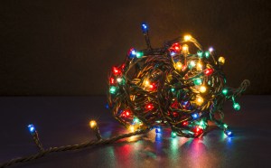 Photo: Shutterstock