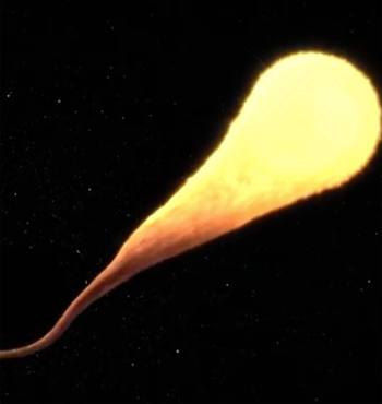The spectacular stellar demise provided scientists with an opportunity to observe a black hole feeding in unprecedented detail.