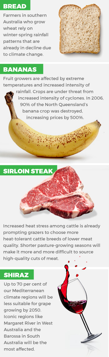 climate change graphic