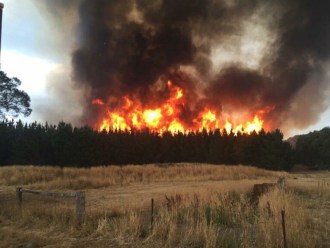 Flames shoot high above trees in Elaine. Photo courtesy of CFA volunteer.
