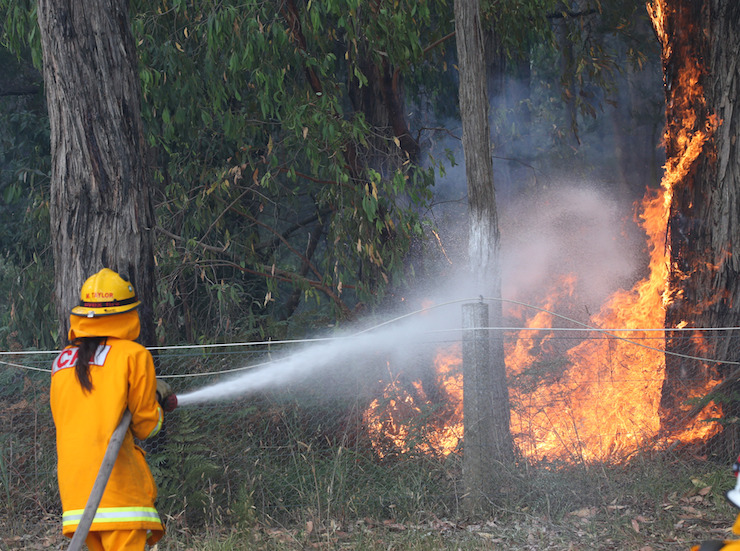 VICTORIAN BUSHFIRES