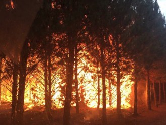 CFA volunteer photo of Elaine blaze.