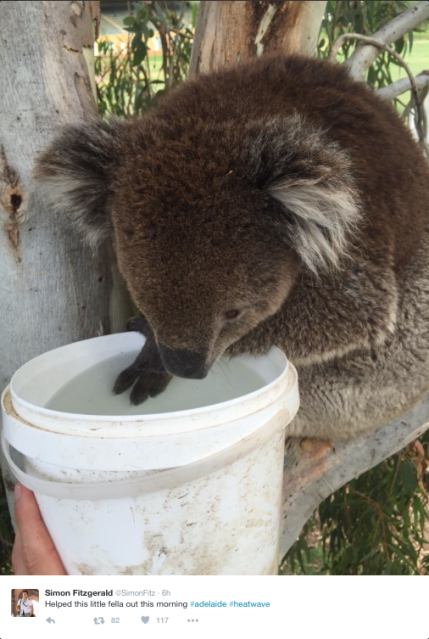 Screen Shot 2015-12-19 at 3.28.39 pm