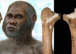 ancient human