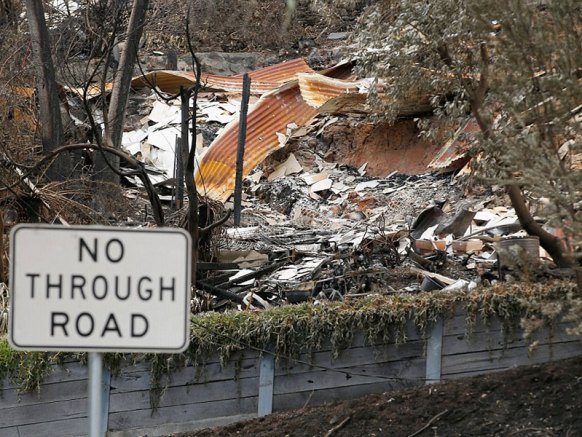 The aftermath of the devastating bushfires earlier this year.
