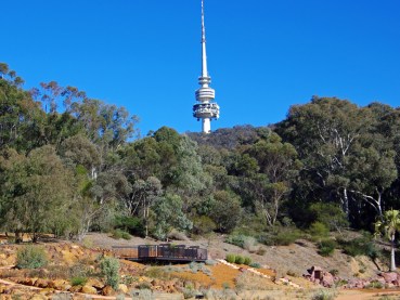 canberra tower