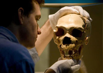 neanderthal