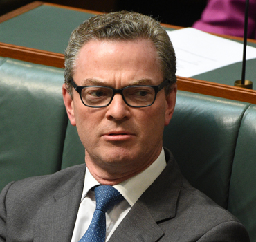 Mr Pyne said he was disappointed in the decision. 