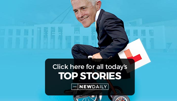 top stories