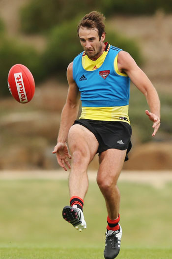 Hird says club captain Jobe Watson, who may have to give back his Brownlow Medal, felt let down by the club. Photo: Getty