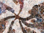 colleagues-120116-newdaily
