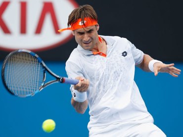 David Ferrer