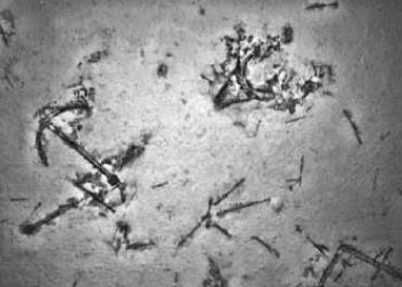 shipwreck mh370