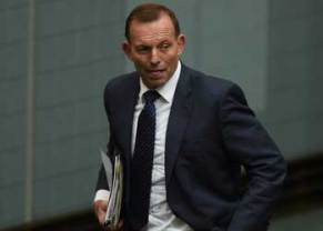 tony abbott