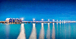 busselton gif trading places 2016