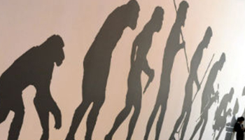 The new discovery could rewrite the story of human origins. Photo: ABC