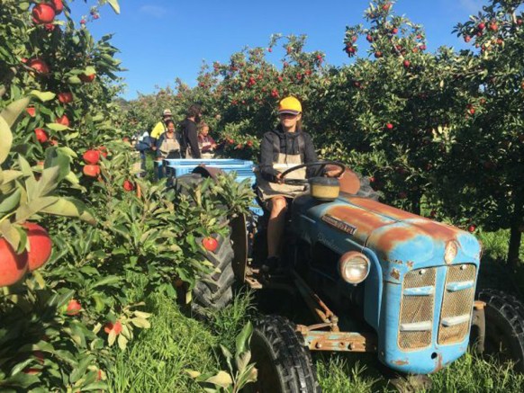 Backpackers say they will reconsider travel plans if the tax hike is implemented.