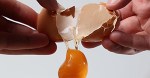 egg-yolk-edm