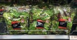 lettuce-edm