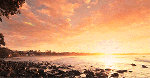 noosa-1