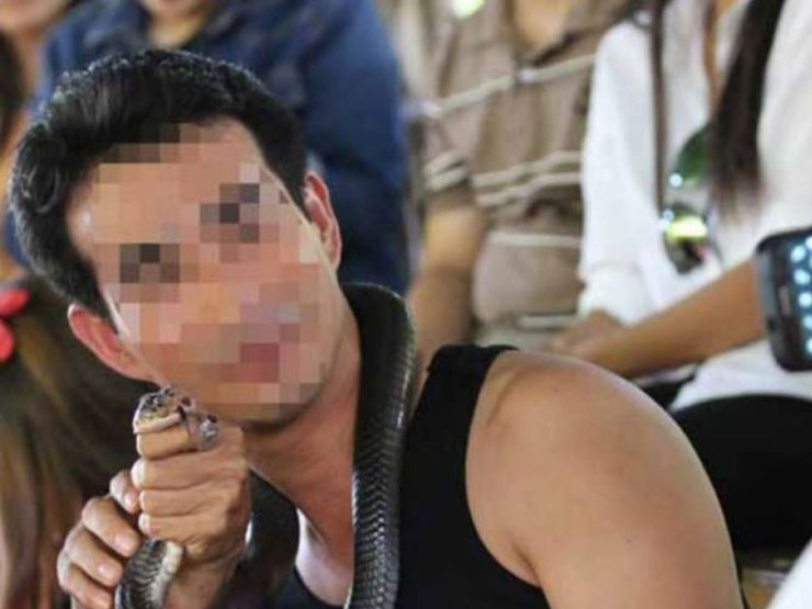 World Animal Protection