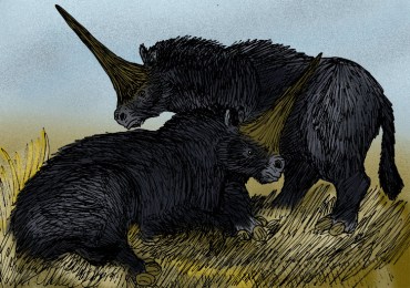A pair of Siberian unicorns. Photo: Wikipedia