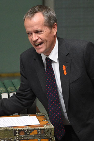 Bill Shorten says his party won't block the supply bill. Photo: AAP