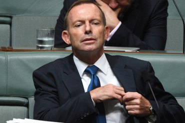 Tony Abbott