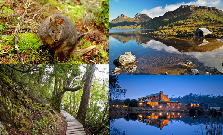Clockwise from top left: a pademelon, Dove Lake, Peppers Cradle Mountain, a walking track. 