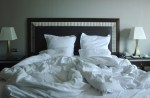 bed bugs bed