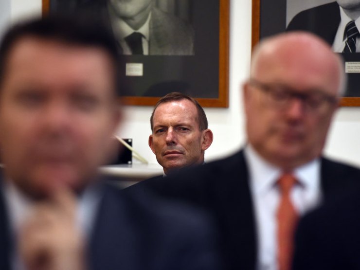 Tony Abbott