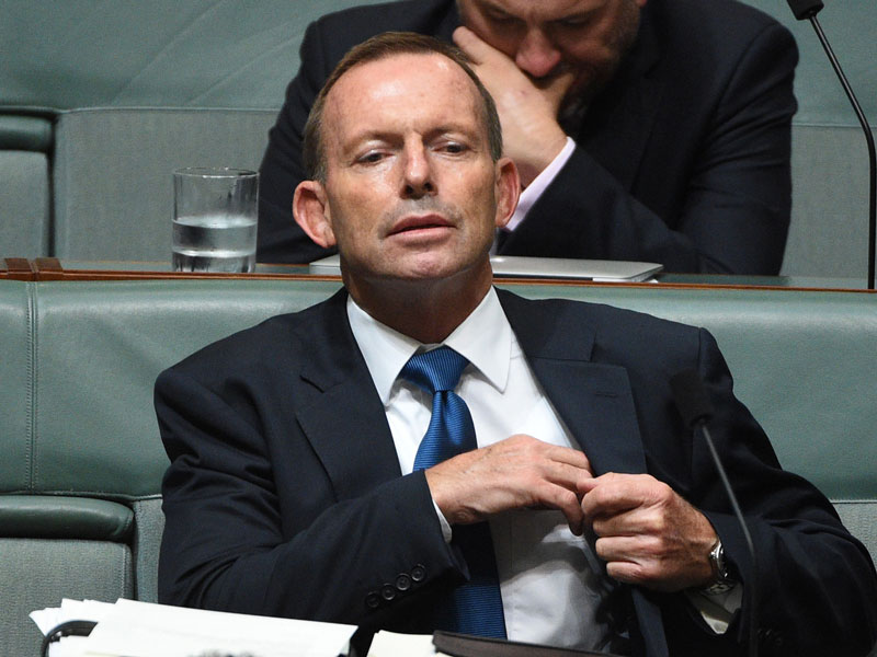 Tony Abbott