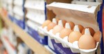 close-up of eggs in a supermarket