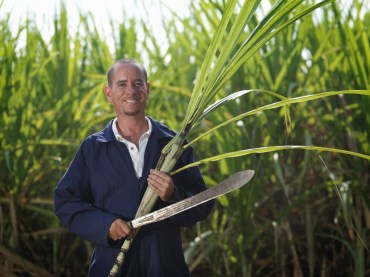 Sugar growers like bio-fuels subsidies. Photo: Getty