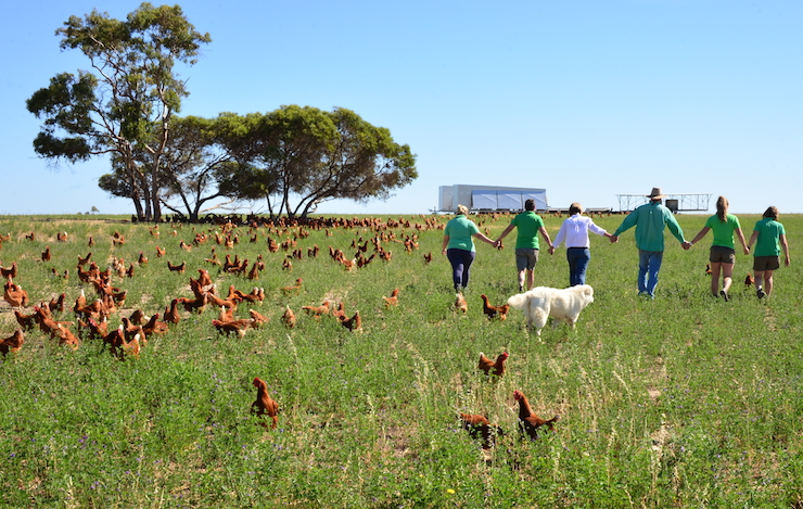 The Hood family started out as a cattle farmers.