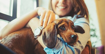 attractive young woman playing with puppy