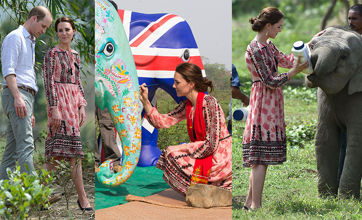 kate middleton india elephant