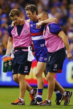 robert murphy western bulldogs
