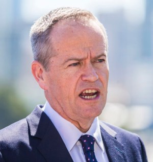 Mr Shorten suggested a government bailout might be necessary.