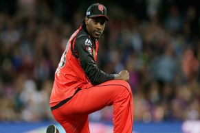 big bash league