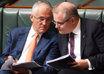 turnbull morrison