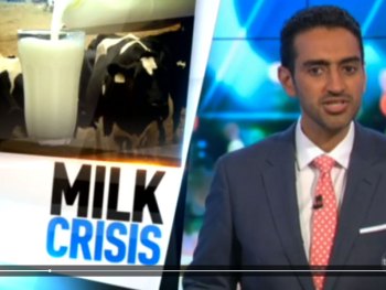 waleed aly