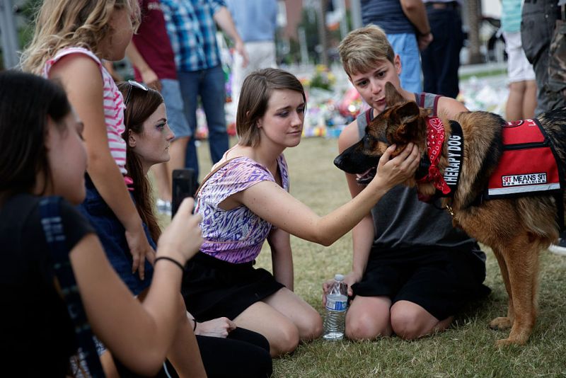 A group of young women pet a therapy dog near a memorial for the victims of the Pulse Nightclub shooting. Photo: Getty.
