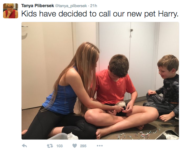 Screen Shot 2016-06-03 at 6.18.39 pm