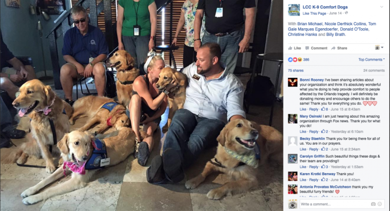 A shot from the Facebook page of a comfort dog group. Photo: Facebook.