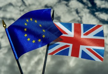 Brexit flags